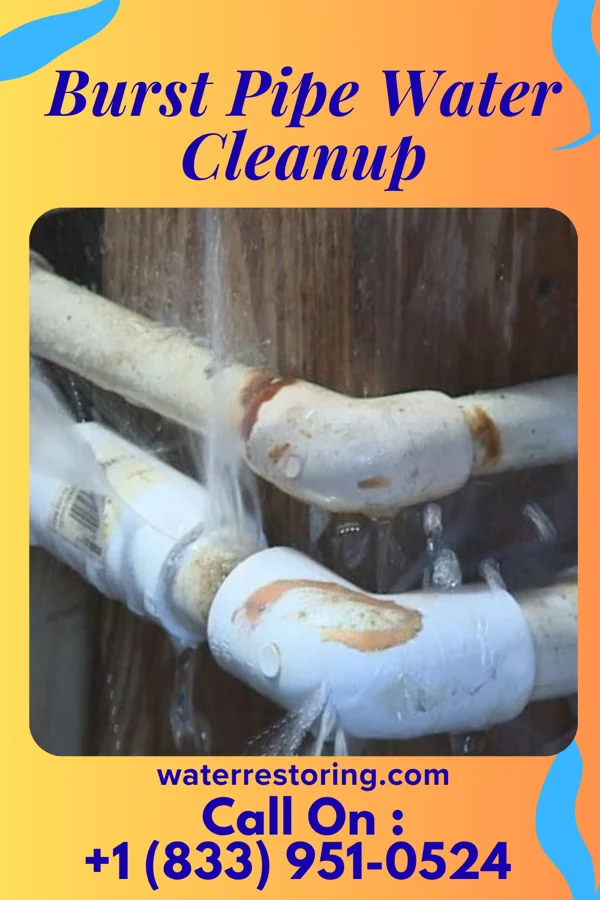 Burst Pipe Water Cleanup in Westlake Corner, VA