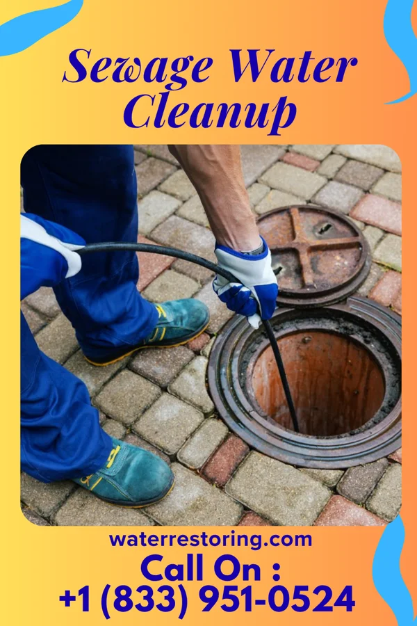 Sewage Water Cleanup in Westlake Corner, VA